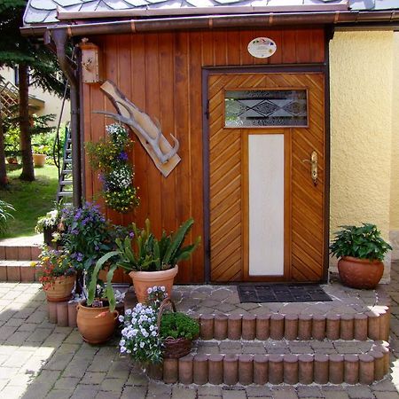 נויהאוזן Ferienhaus Erzgebirge "An Der Trebe" Mit Kamin Und Sauna חדר תמונה