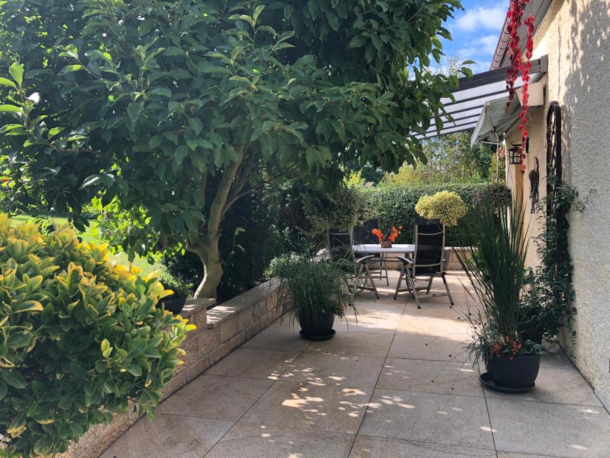 נויהאוזן Ferienhaus Erzgebirge "An Der Trebe" Mit Kamin Und Sauna מראה חיצוני תמונה
