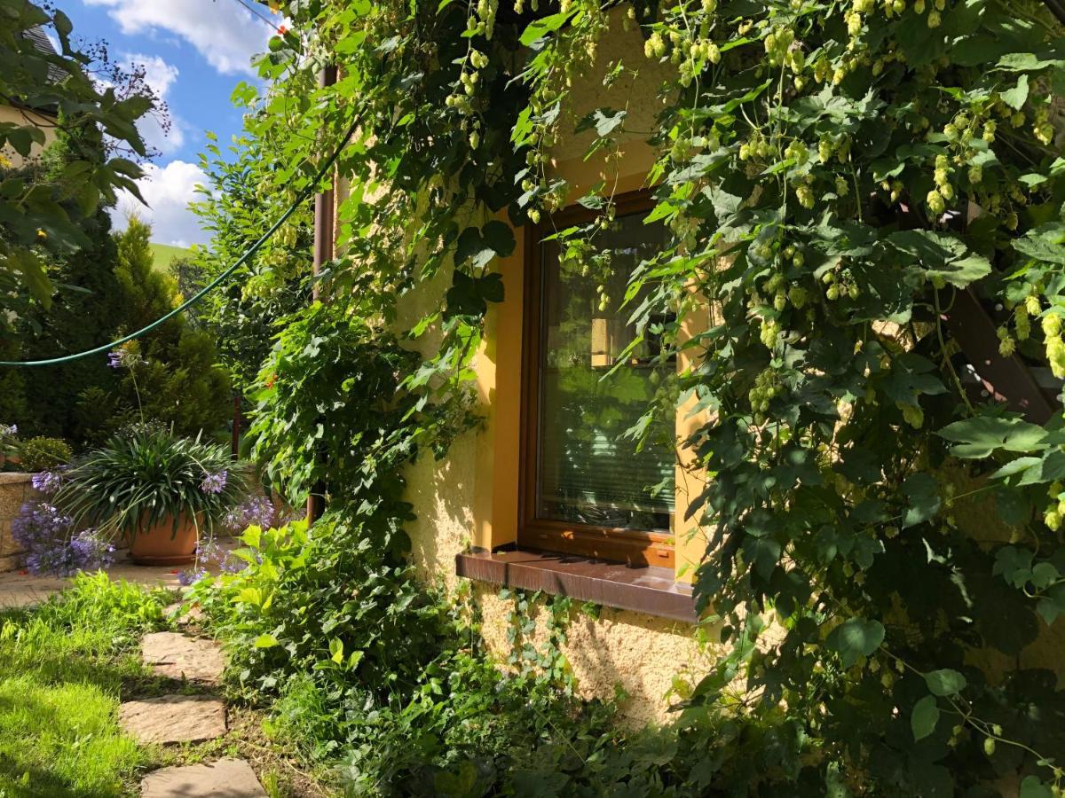 נויהאוזן Ferienhaus Erzgebirge "An Der Trebe" Mit Kamin Und Sauna מראה חיצוני תמונה