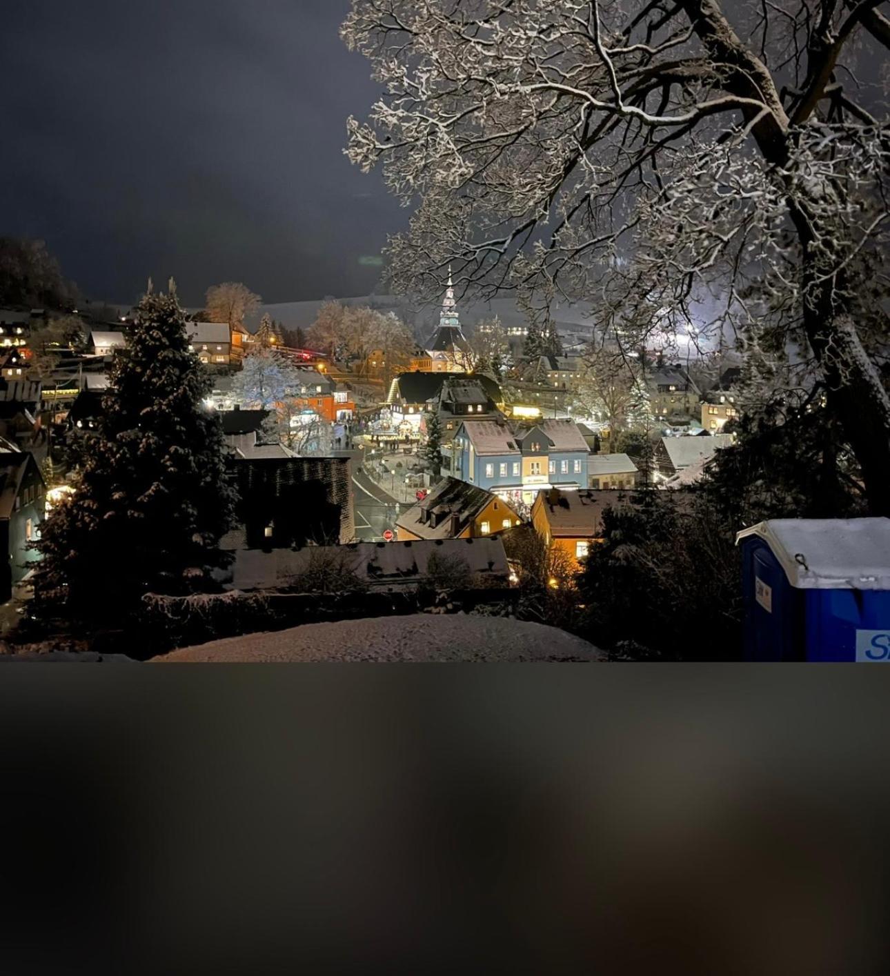 נויהאוזן Ferienhaus Erzgebirge "An Der Trebe" Mit Kamin Und Sauna מראה חיצוני תמונה