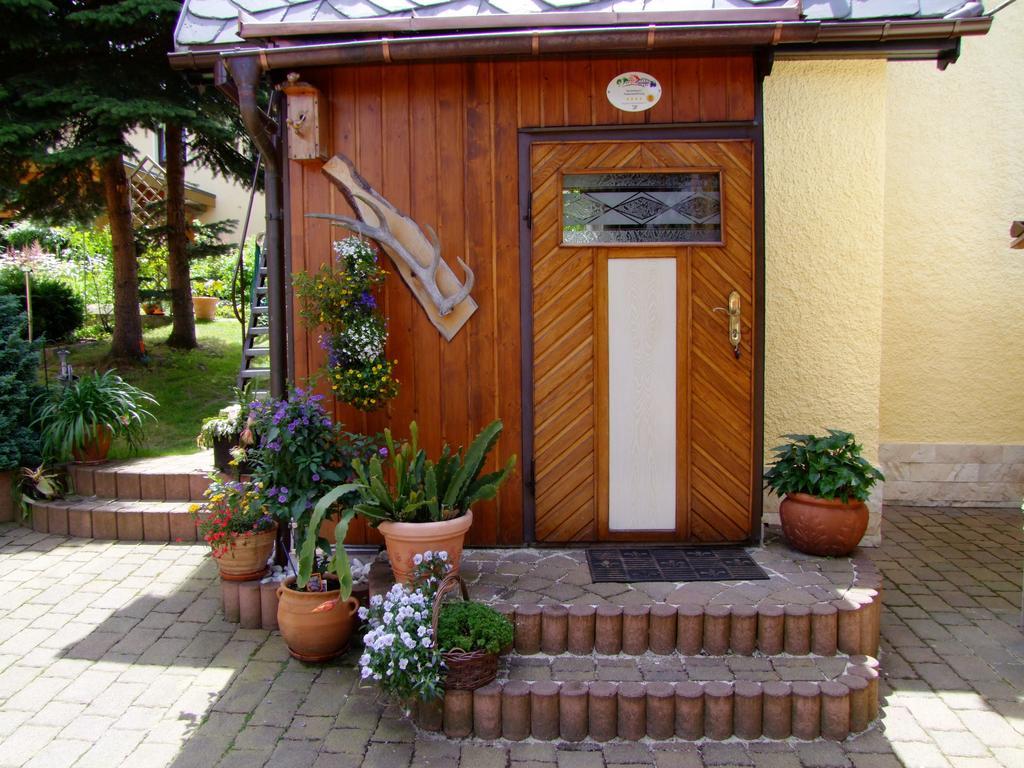 נויהאוזן Ferienhaus Erzgebirge "An Der Trebe" Mit Kamin Und Sauna חדר תמונה